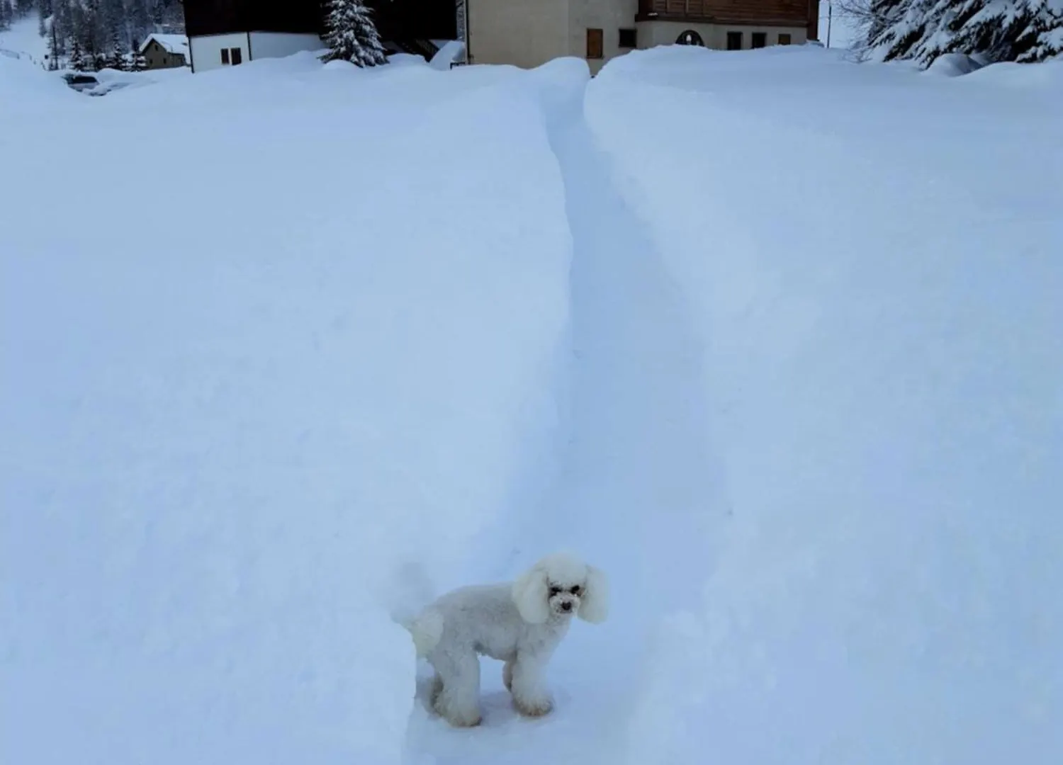 Dany Lodge Livigno